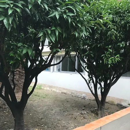 Apartment Les Clementines Nizza
